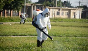 Empresa de fumigación en Lima